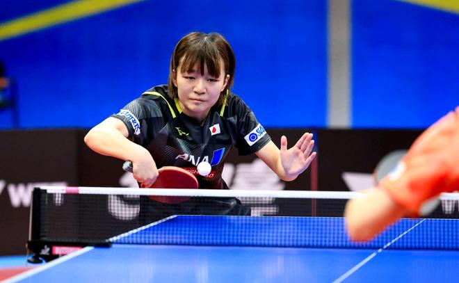 庆祝动作回 庆祝动作回